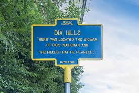 DixHills